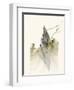 Graphics 6753-Rica Belna-Framed Giclee Print