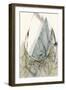 Graphics 7955-Rica Belna-Framed Giclee Print