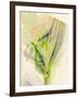 Graphics 7979-Rica Belna-Framed Giclee Print