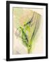 Graphics 7979-Rica Belna-Framed Giclee Print