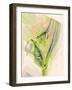 Graphics 7979-Rica Belna-Framed Giclee Print