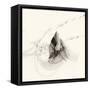 Graphics 8288-Rica Belna-Framed Stretched Canvas