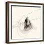 Graphics 8288-Rica Belna-Framed Giclee Print