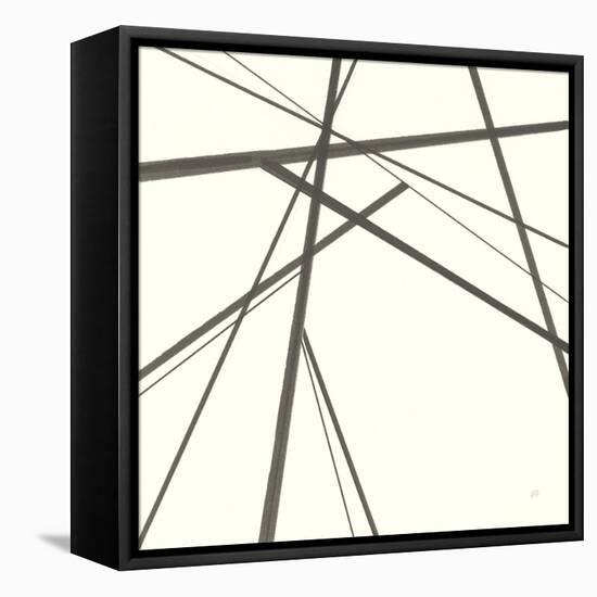 Graphics IV-Chris Paschke-Framed Stretched Canvas