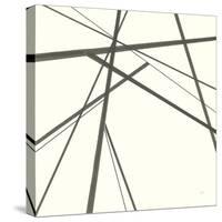 Graphics IV-Chris Paschke-Stretched Canvas