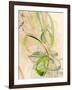 Graphics7976-Rica Belna-Framed Giclee Print