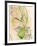 Graphics7976-Rica Belna-Framed Giclee Print