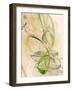 Graphics7976-Rica Belna-Framed Giclee Print