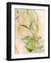 Graphics7976-Rica Belna-Framed Giclee Print