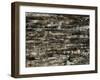 Graphite Forest-Alexys Henry-Framed Giclee Print