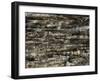 Graphite Forest-Alexys Henry-Framed Giclee Print
