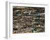 Graphite Forest-Alexys Henry-Framed Giclee Print