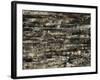 Graphite Forest-Alexys Henry-Framed Giclee Print