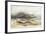 Graphite Horizon III-K. Nari-Framed Art Print