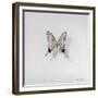 Graphium eurosus, 2014-Odile Kidd-Framed Giclee Print