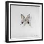 Graphium eurosus, 2014-Odile Kidd-Framed Giclee Print