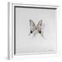 Graphium eurosus, 2014-Odile Kidd-Framed Giclee Print