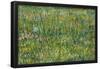 Grasgrond Patch of grass. Date/Period: 1887. Painting. Oil on canvas. Height: 300 mm (11.81 in);...-VINCENT VAN GOGH-Framed Poster