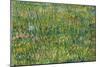 Grasgrond Patch of grass. Date/Period: 1887. Painting. Oil on canvas. Height: 300 mm (11.81 in);...-VINCENT VAN GOGH-Mounted Poster