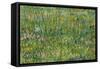 Grasgrond Patch of grass. Date/Period: 1887. Painting. Oil on canvas. Height: 300 mm (11.81 in);...-VINCENT VAN GOGH-Framed Stretched Canvas