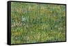 Grasgrond Patch of grass. Date/Period: 1887. Painting. Oil on canvas. Height: 300 mm (11.81 in);...-VINCENT VAN GOGH-Framed Stretched Canvas