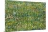 Grasgrond Patch of grass. Date/Period: 1887. Painting. Oil on canvas. Height: 300 mm (11.81 in);...-VINCENT VAN GOGH-Mounted Poster