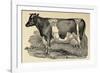 Grasmere Farm-Stephanie Monahan-Framed Giclee Print