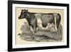 Grasmere Farm-Stephanie Monahan-Framed Giclee Print