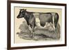 Grasmere Farm-Stephanie Monahan-Framed Giclee Print