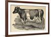 Grasmere Farm-Stephanie Monahan-Framed Giclee Print