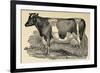 Grasmere Farm-Stephanie Monahan-Framed Giclee Print