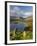 Grasmere Lake and Village from Loughrigg Fell, Lake District, Cumbria, England-Gavin Hellier-Framed Photographic Print