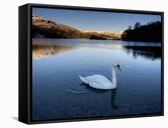 Grasmere, Near Ambleside, Lake District National Park, Cumbria, England, UK-Lee Frost-Framed Stretched Canvas