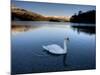 Grasmere, Near Ambleside, Lake District National Park, Cumbria, England, UK-Lee Frost-Mounted Photographic Print