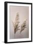 Grass 22X-Mareike Böhmer-Framed Giclee Print