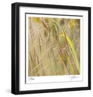 Grass 38-Ken Bremer-Framed Limited Edition