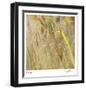 Grass 38-Ken Bremer-Framed Limited Edition