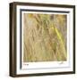 Grass 38-Ken Bremer-Framed Limited Edition