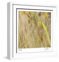 Grass 38-Ken Bremer-Framed Limited Edition