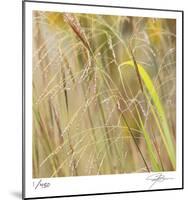 Grass 38-Ken Bremer-Mounted Limited Edition