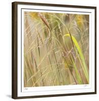 Grass 38-Ken Bremer-Framed Limited Edition