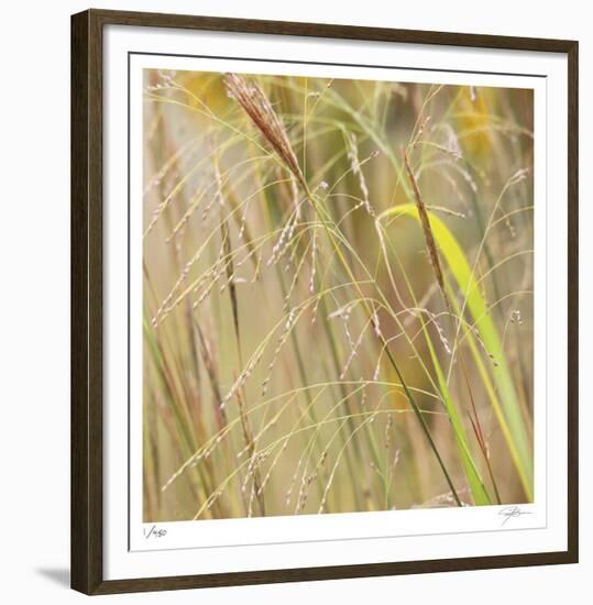 Grass 38-Ken Bremer-Framed Limited Edition