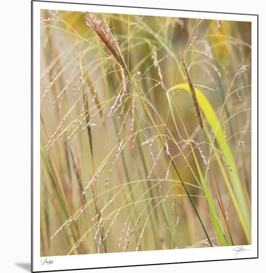 Grass 38-Ken Bremer-Mounted Limited Edition