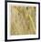 Grass 38-Ken Bremer-Framed Limited Edition