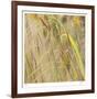 Grass 38-Ken Bremer-Framed Limited Edition