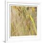 Grass 38-Ken Bremer-Framed Limited Edition