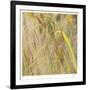 Grass 38-Ken Bremer-Framed Limited Edition