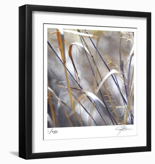 Grass 9-Ken Bremer-Framed Limited Edition