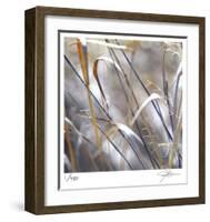 Grass 9-Ken Bremer-Framed Limited Edition