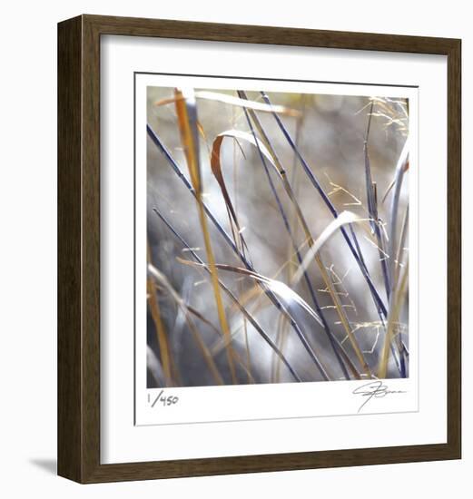 Grass 9-Ken Bremer-Framed Limited Edition